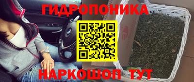 Альфа ПВП Татарск