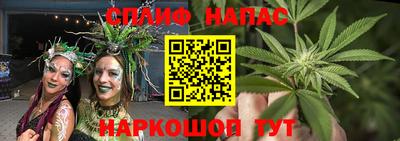 бошки Тверь