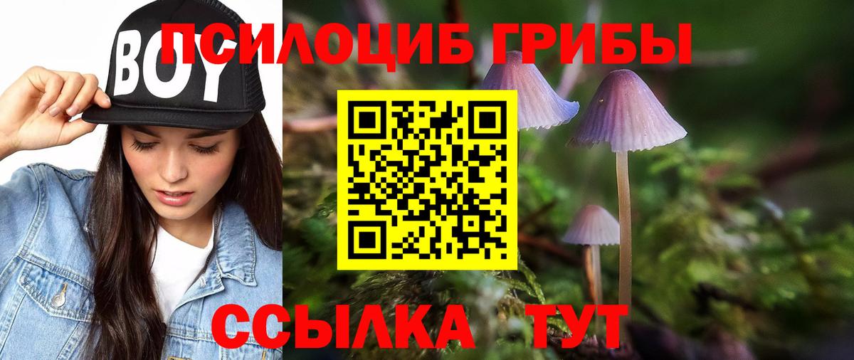 Галлюциногенные грибы ЛСД  Вход с VPN  Новоуральск 