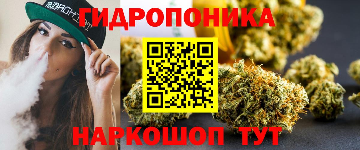 Канабис сатива  Бошки Шишки план  Бошки марихуана сатива  Вход с VPN  Новоуральск 